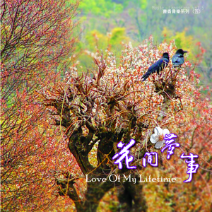 人妻视频一区二区
